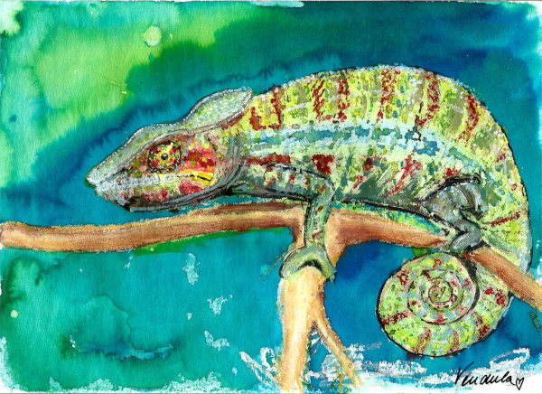 chameleon malba